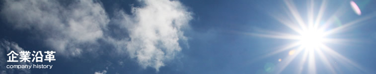 company_policy